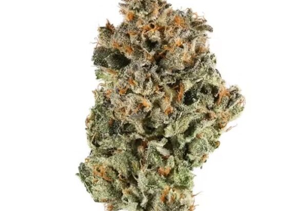 cannabis shop online